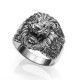 Anillo de León