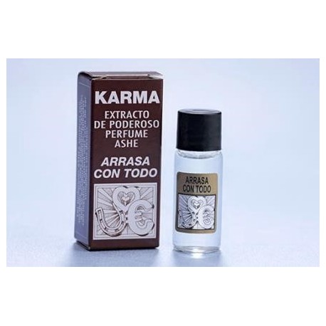 PERFUME ASHE ARRASA CON TODO