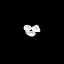 Cuarzo Blanco Pequeño