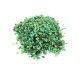 Incienso Verde